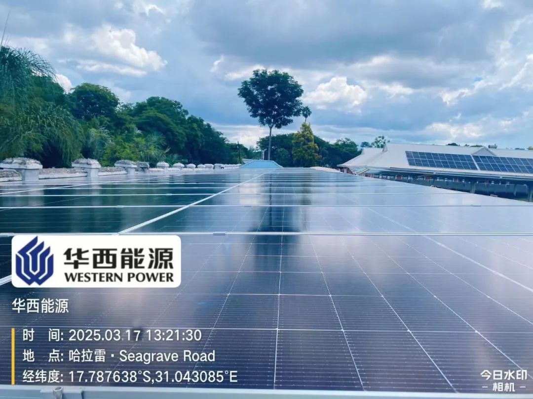 1743383415633384.jpg 640.jpg