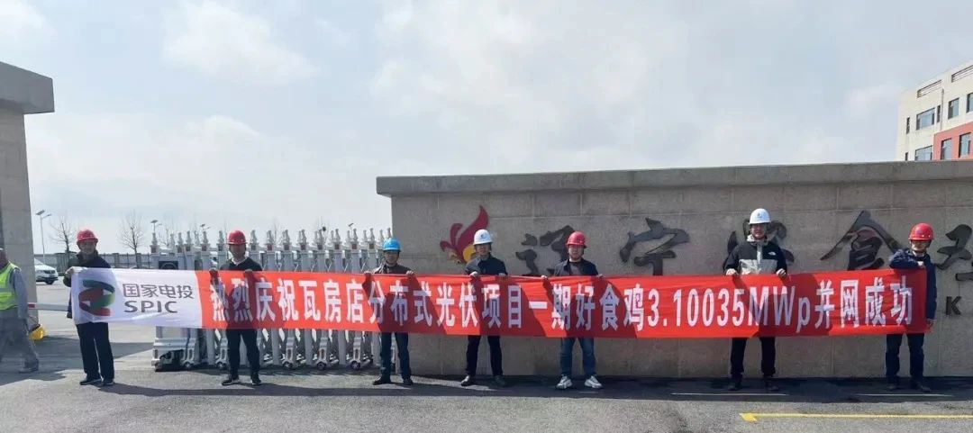 1750062844217224.jpg fd316e3273a9f295e4aed2389ffb378f.jpg